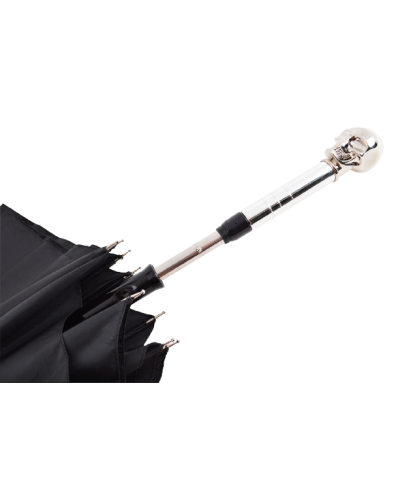 Umbrella Sword